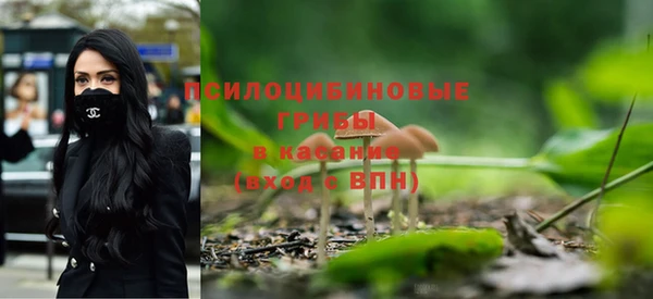 молекула духа Нефтегорск