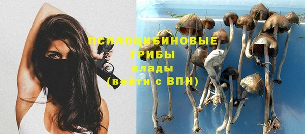 молекула духа Нефтегорск