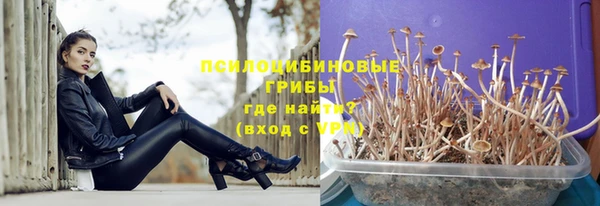 дурь Абаза