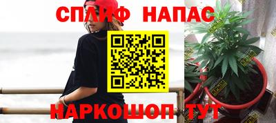 прущие грибы Азнакаево