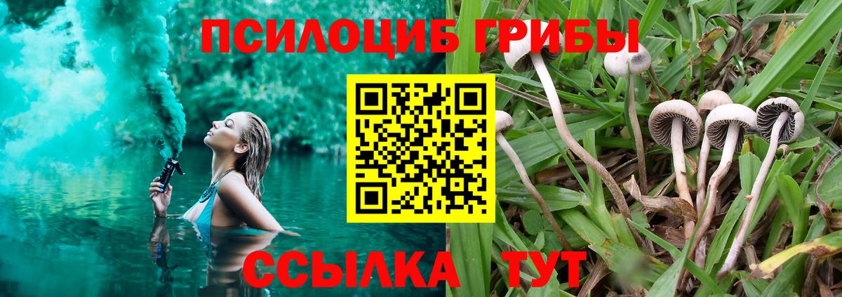 Астрахань  Галлюциногенные грибы мицелий  Вход с VPN 