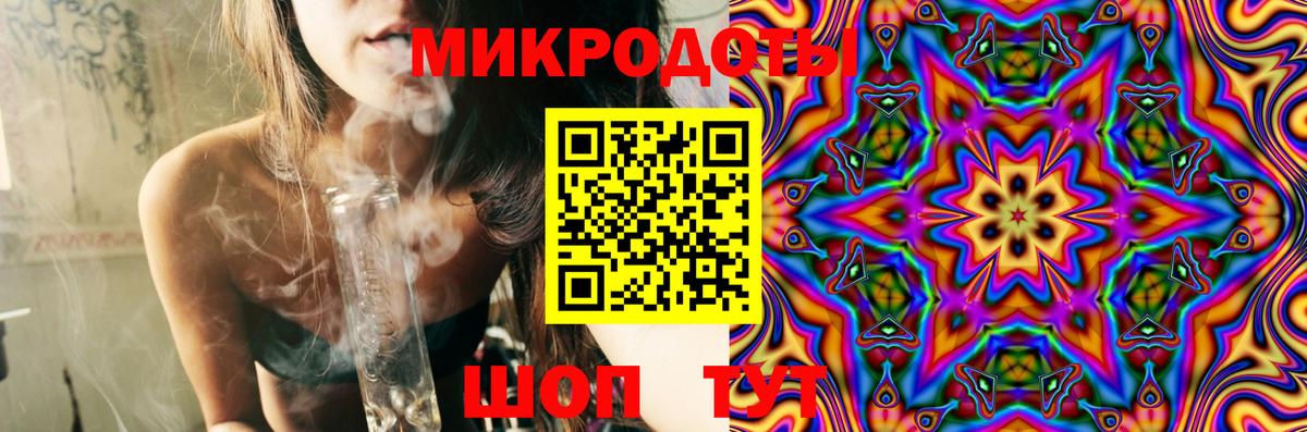 Галлюциногенные грибы Psilocybe Астрахань