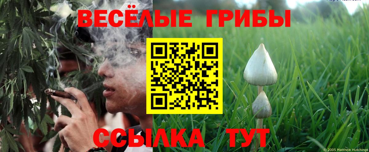 Псилоцибиновые грибы GOLDEN TEACHER Астрахань